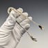 Circa 1905 US Antique Sterling Silver Crow Hand Sugar Tongs 29g MANCHESTER MFG